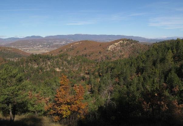 Sortie nature estivale en fort de Plissier (Manosque)