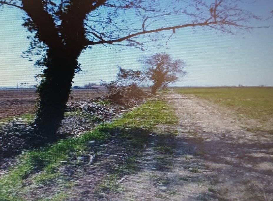 Randonn�e 2025-2026(2) :  � La Rando des Amis � � Berre l'�tang