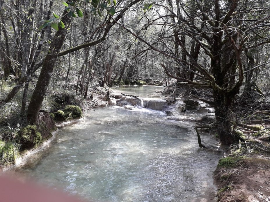 Randonn�e 2025-2026(2) : De La Sainte Baume au  Chemin des Rois par LES SOURCES DE L'HUVEAUNE